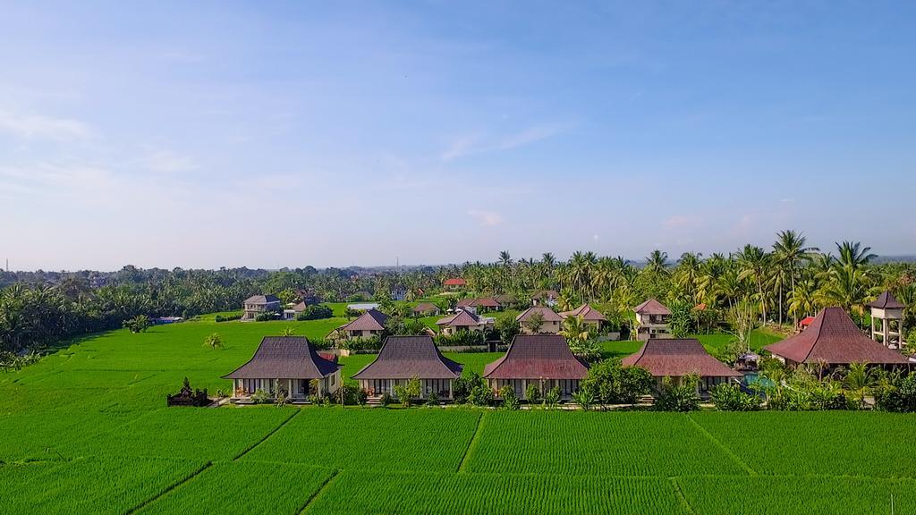 Masia Villa Ubud Extérieur photo