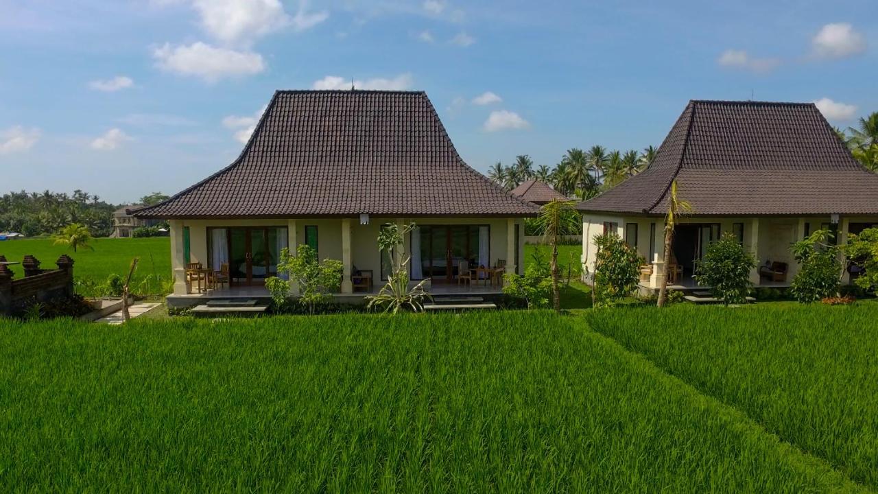 Masia Villa Ubud Extérieur photo